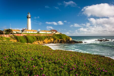 Flowers and view of Piegon Point Lighthouse in Pescadero, California.の写真素材