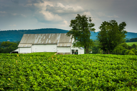 Historic barn and farm fields at Antietam National Battlefield, Maryland.の写真素材