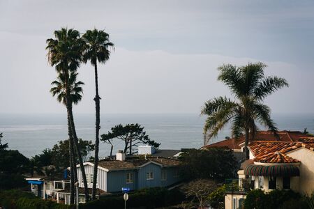 Houses and palm trees on Ladera Street seen from Sunset Cliffs Natural Park in Point Loma,...