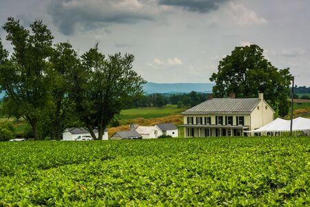 Historic house and farm fields at Antietam National Battlefield, Maryland.のeditorial素材