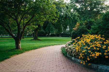 Flowers and tree along a path at Georgetown University, in Washington, DC.の写真素材