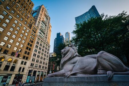 The Library Lions and buildings in Midtown Manhattan, New York.のeditorial素材