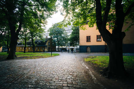 Walkway and trees outside The Church of Saint Clare (Klara Kyrka) in Norrmalm, Stockholm, Sweden.の写真素材
