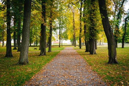 Early autumn color seen at Kadrioru Park, in Tallinn, Estonia.の写真素材