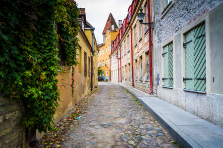 A narrow cobblestone street, in the Old Town of Tallinn, Estonia.の写真素材