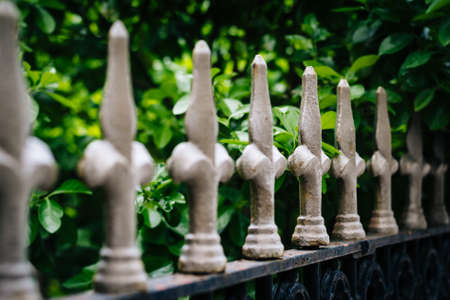Metal fence and bushes, in Mount Vernon, Baltimore, Maryland.の写真素材