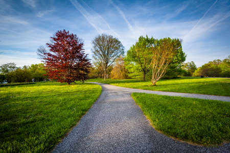 Walkway and trees at Cylburn Arboretum, in Baltimore, Maryland.の写真素材
