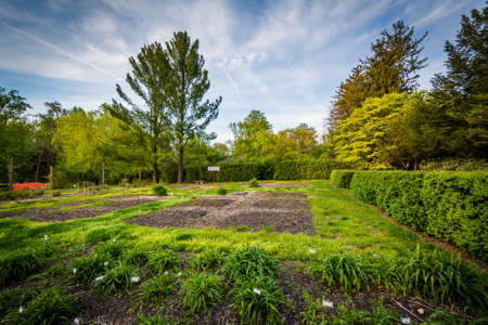 Gardens at Cylburn Arboretum, in Baltimore, Maryland.の写真素材