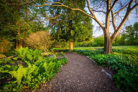 Woodland garden at Cylburn Arboretum, in Baltimore, Maryland.の写真素材