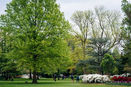 Gardens and trees at Sherwood Gardens Park, in Guilford, Baltimore, Maryland.のeditorial素材