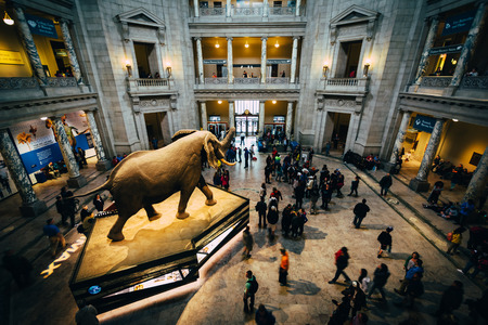 The interior of the Rotunda at the National Museum of Natural History, in Washington, DC.のeditorial素材