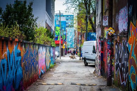 Colorful street art in Graffiti Alley, in the Fashion District of Toronto, Ontario.のeditorial素材