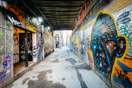 Street art in Graffiti Alley, in the Fashion District of Toronto, Ontario.のeditorial素材
