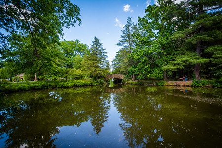 Pond at Elizabeth Park, in Hartford, Connecticut.の写真素材