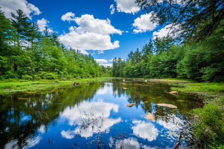 Small pond at Bear Brook State Park, New Hampshire.の写真素材