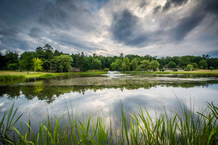 Lake at White Park, in Concord, New Hampshire.の写真素材