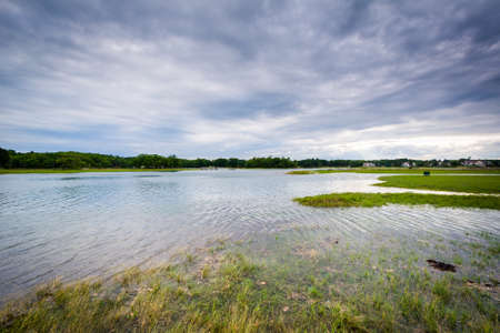 Marsh at Odiorne Point State Park, in Rye, New Hampshire.