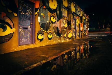 Street art reflecting in a puddle at night, in Venice Beach, Los Angeles, California.のeditorial素材