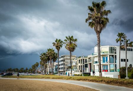 Bike path along the beach in Venice Beach, Los Angeles, California.のeditorial素材