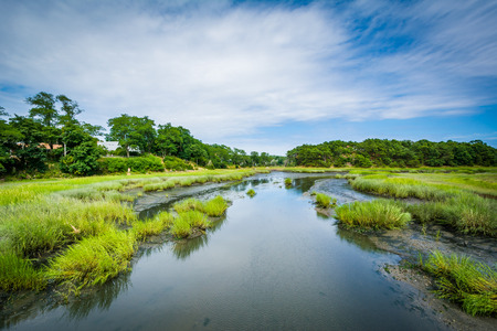 View of a wetland from Uncle Tim's Bridge, in Wellfleet, Cape Cod, Massachusetts.