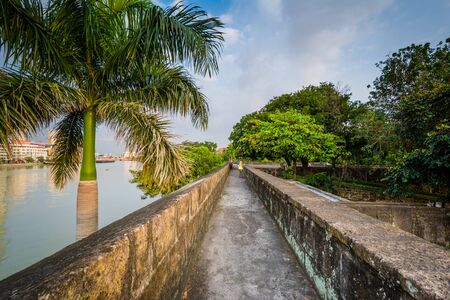 Palm tree and walls along the Pasig River, at Fort Santiago, Intramuros, Manila, The Philippines.の写真素材