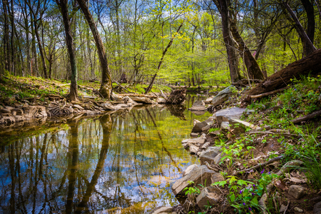 The Patowmack Canal at Great Falls Park, Virginia.の写真素材