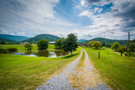 Pond along a dirt road in the rural Shenandoah Valley of Virginia.の写真素材