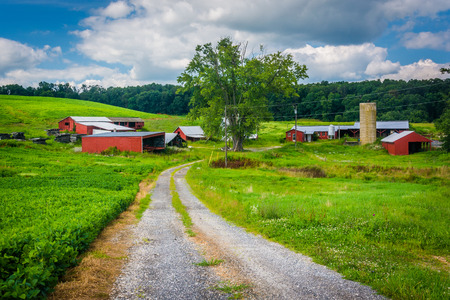 Road and farm in rural Baltimore County, Maryland.の写真素材