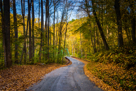 Autumn color and a country road in rural Baltimore County, Maryland.の写真素材