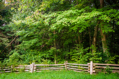 Fence and trees at Pass Mountain Overlook, in Shenandoah National Park, Virginia.の写真素材