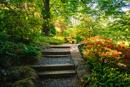 Path through a colorful garden at the National Arboretum in Washington, DC.の写真素材