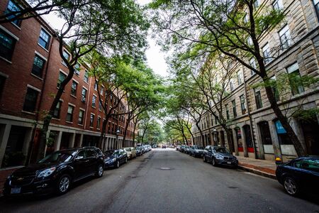 Tree lined street in the North End, Boston, Massachusetts.