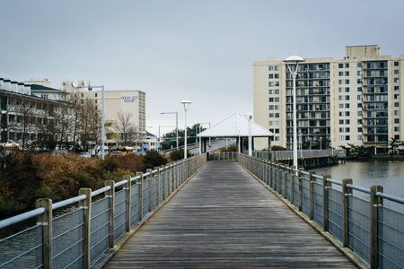 Boardwalk over Lake Holly, in Virginia Beach, Virginia.のeditorial素材