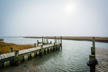Dock and wetlands in Chincoteague Island, Virginia.の写真素材