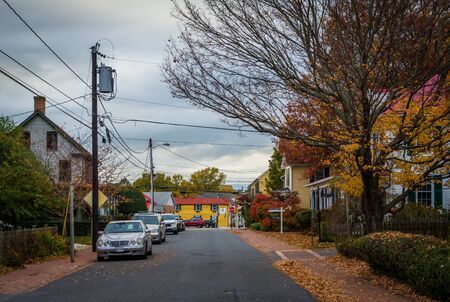 Autumn color along a street in St. Michaels, Maryland.のeditorial素材
