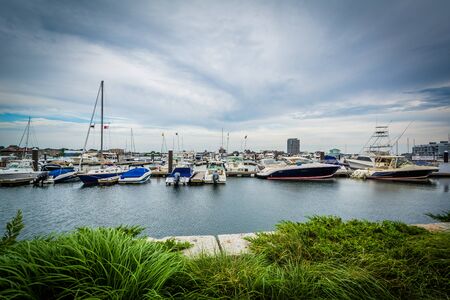 Marina on the Charles River, in Charlestown, Boston, Massachusetts.のeditorial素材