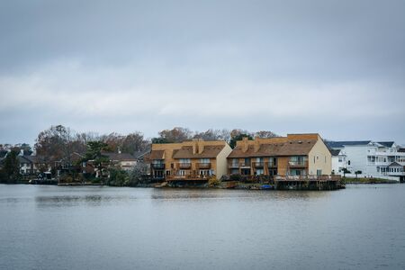 Houses along the shore of Lake Holly, in Virginia Beach, Virginia.の写真素材