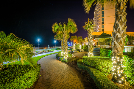 Palm trees and highrise hotels along a walkway at night, in Virginia Beach, Virginia.の写真素材