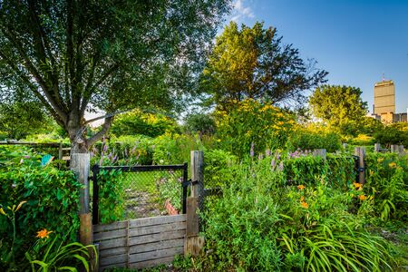 Gardens at Back Bay Fens, in Boston, Massachusetts.の写真素材