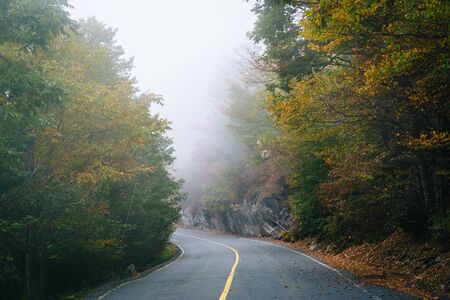 Early autumn color and fog on the road to Grandfather Mountain, North Carolina.