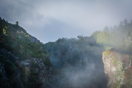 The Mile High Swinging Bridge in fog, at Grandfather Mountain, North Carolina.