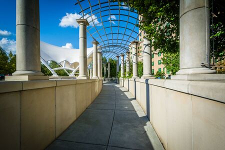 Trellis and walkway at Pack Square Park, in downtown Asheville, North Carolina.の写真素材