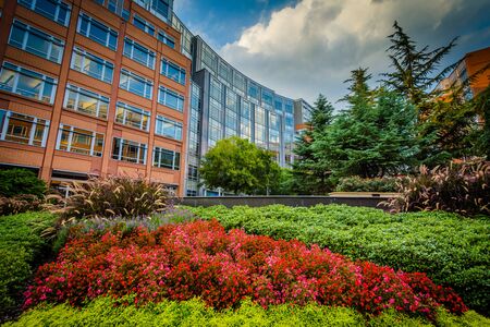 Gardens and buildings at Johnson & Wales University, in Charlotte, North Carolina.の写真素材