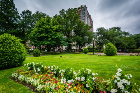 Gardens at the Public Garden, in Boston, Massachusetts.の写真素材