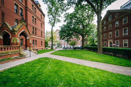 Buildings and walkways at the Harvard Yard, at Harvard University, in Cambridge, Massachusetts.のeditorial素材