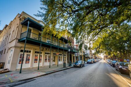 Buildings and trees along Dauphin Street, in Mobile, Alabama.のeditorial素材