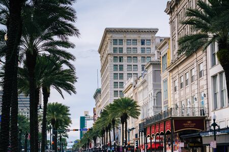 Buildings and palm trees along Canal Street, in New Orleans, Louisiana.のeditorial素材