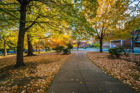 Autumn color and walkway at Union Square, in Baltimore, Maryland.
