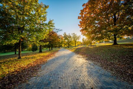 Autumn color at Patterson Park, in Baltimore, Maryland.