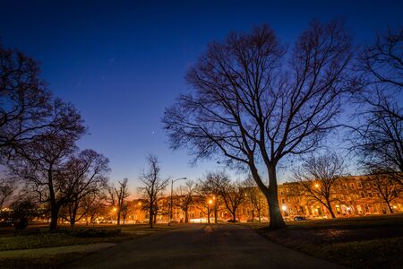Walkway and trees at Patterson Park at night, in Baltimore, Maryland.の写真素材